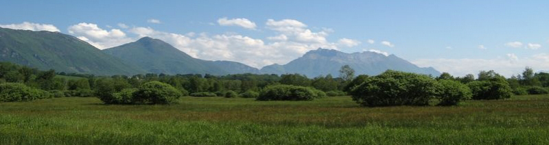The Ecological Continuum Initiative