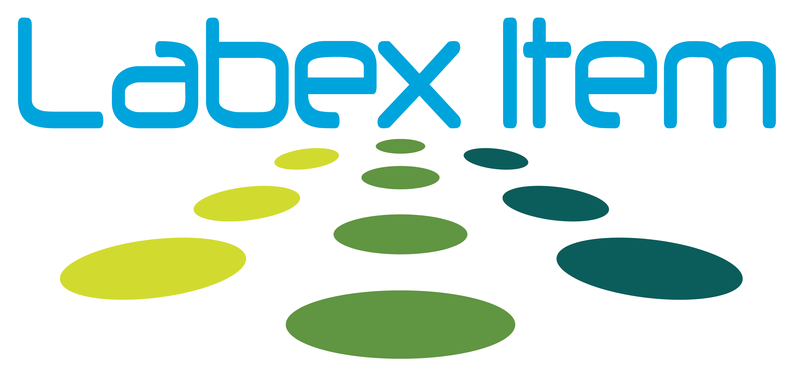 QA - Labex