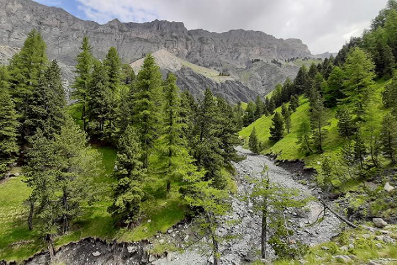An strict nature reserve the heart of the Mercantour National Park