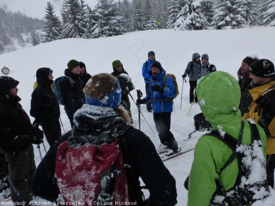 Sport invernali e fauna selvatica: avvio di un gruppo di lavoro alpino
